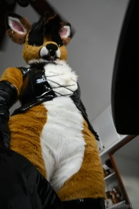 New photo and video set in progress gt 3 part 1