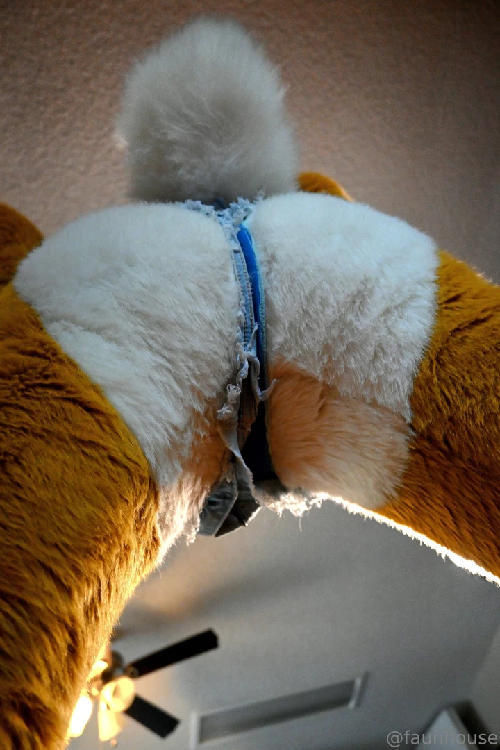 Daisy dukes and peaches part 2 