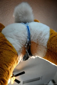 Daisy dukes and peaches part 2