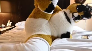 More socks footage part 1