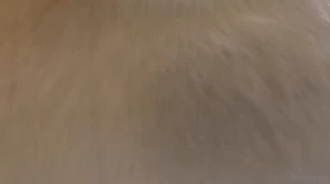 More socks footage