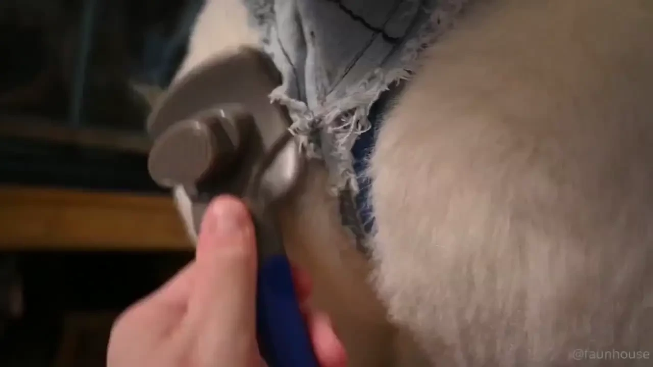 Getting my butt brushed 