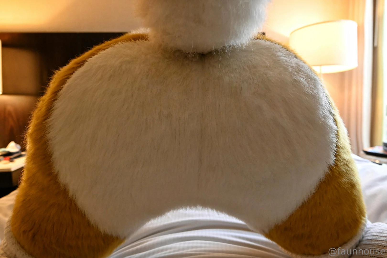 I am waiting on onlyfans to approve my consent forms for posting part 1 