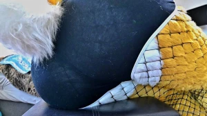 I love my new fishnets so much part 1