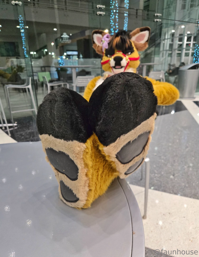 Nothing is nicer than kicking your paws up after suiting part 1 