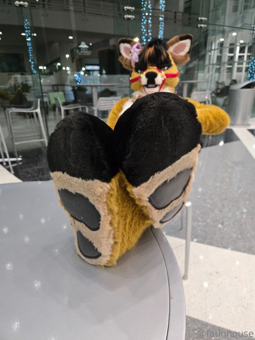 Nothing is nicer than kicking your paws up after suiting part 4 