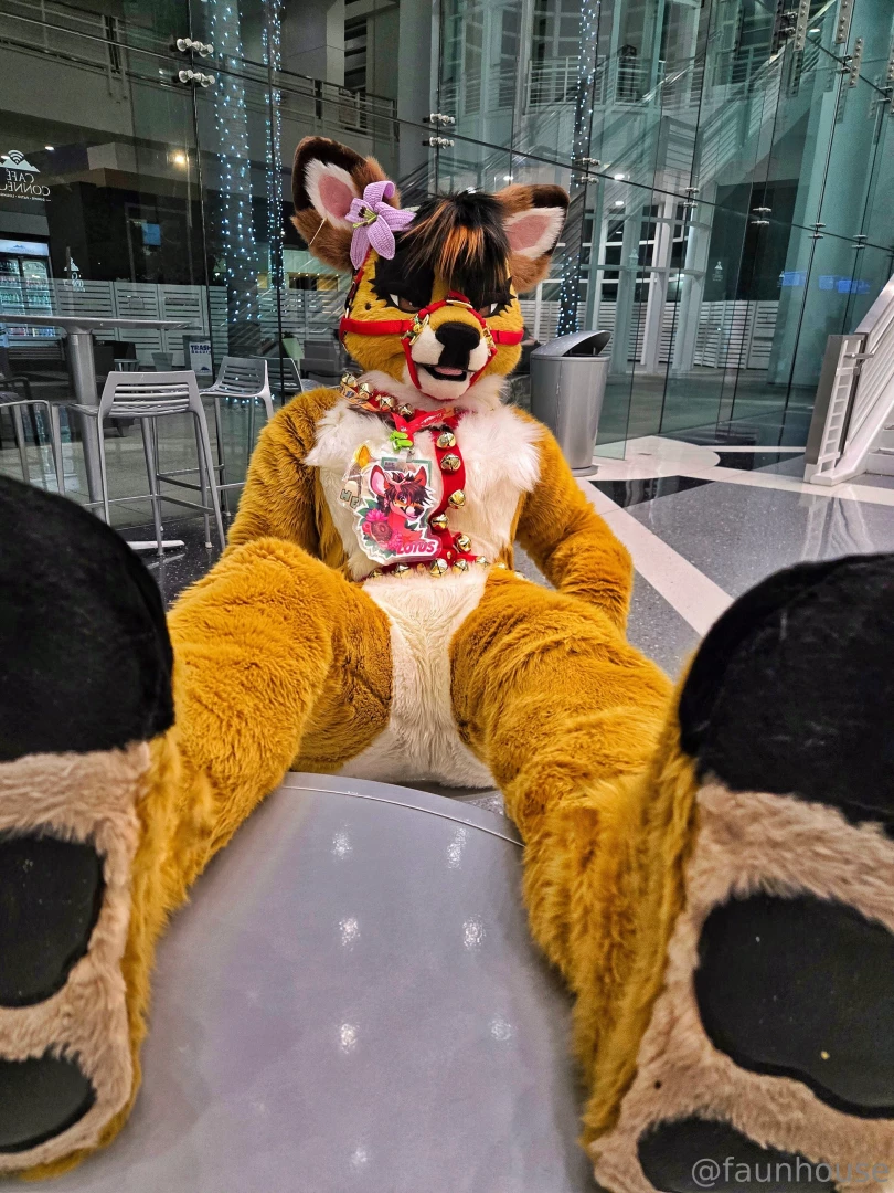 Nothing is nicer than kicking your paws up after suiting 