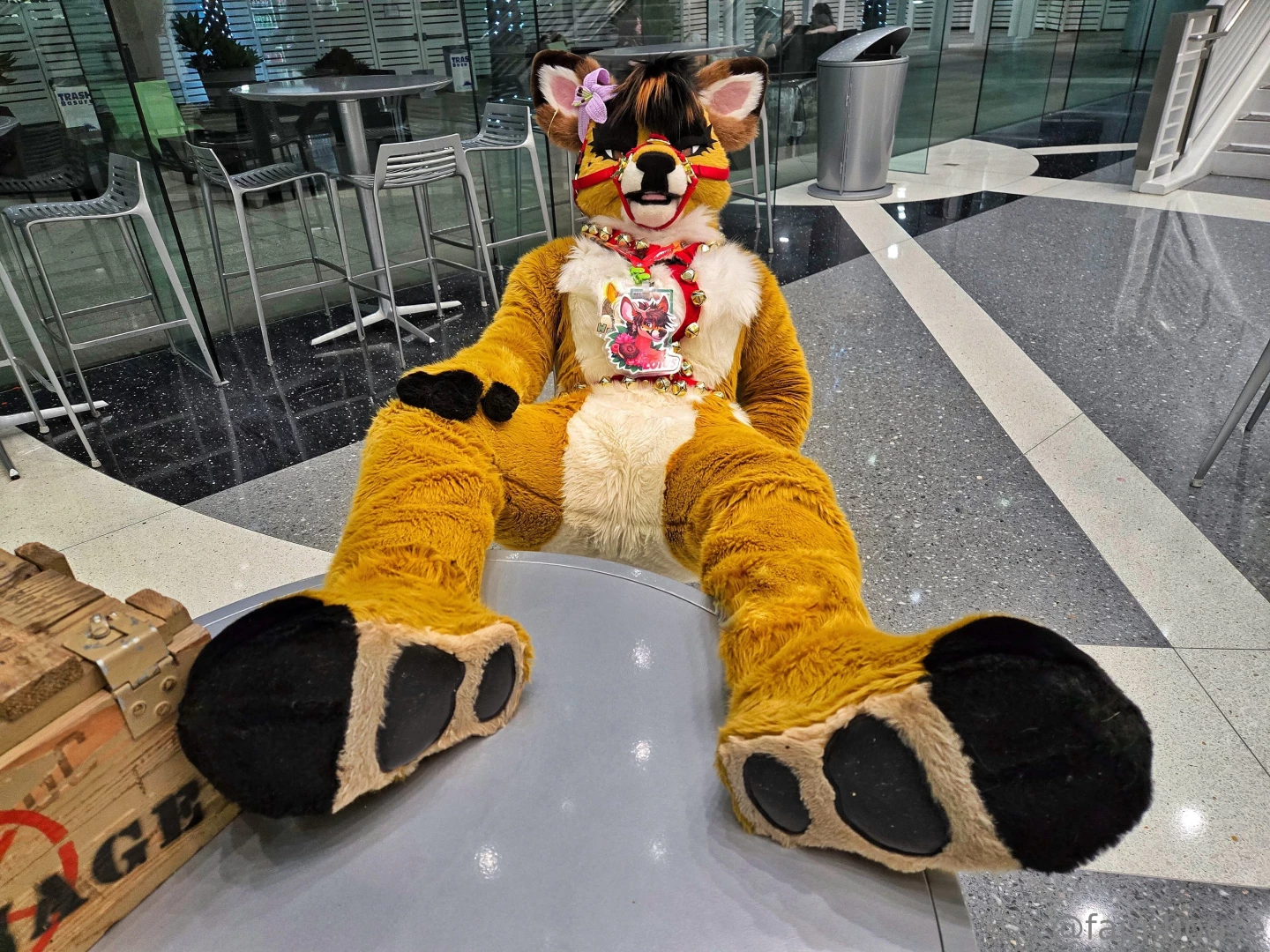 Nothing is nicer than kicking your paws up after suiting part 3 