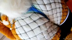 Thank goodness fishnets don t capture smell panties might be another part 1