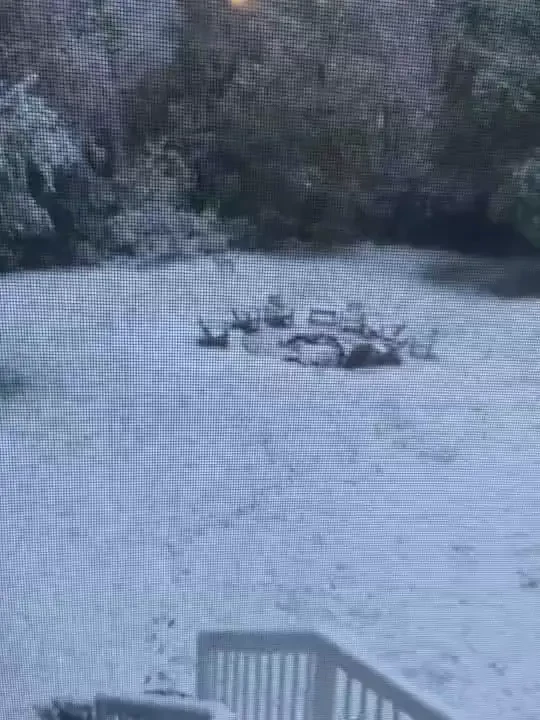 Happy frisky friday i ll be on cb around 11 15 for my work lunch break 