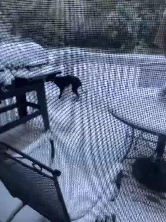 Happy frisky friday i ll be on cb around 11 15 for my work lunch break part 3 