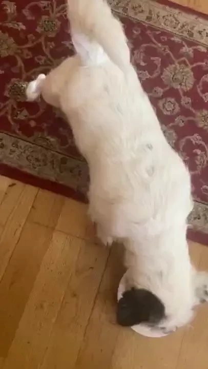 Happy saturday im going on cb thank you for such a fun time i m 