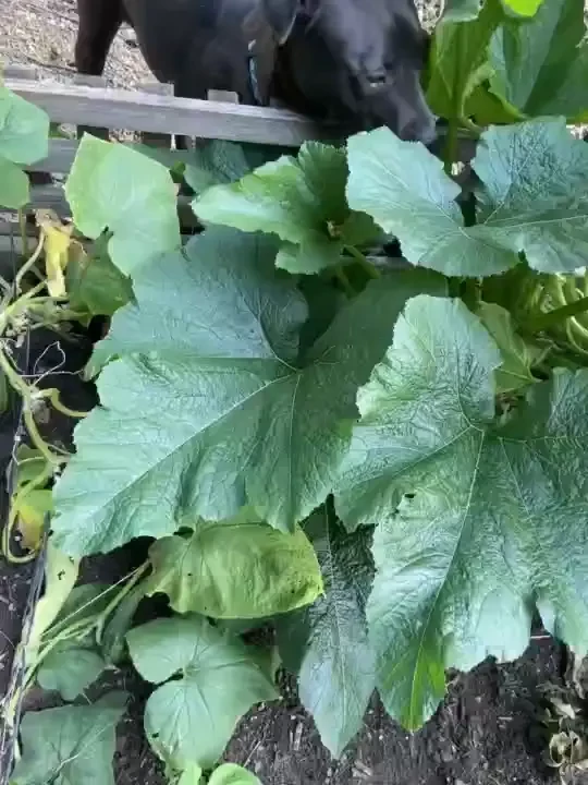 Happy wet wednesday i ll be on cb for my work lunch break at 11 15 part 9 