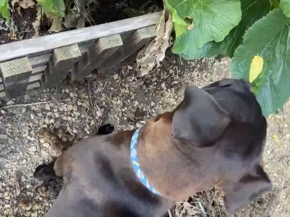 Happy wet wednesday i ll be on cb for my work lunch break at 11 15 part 10 