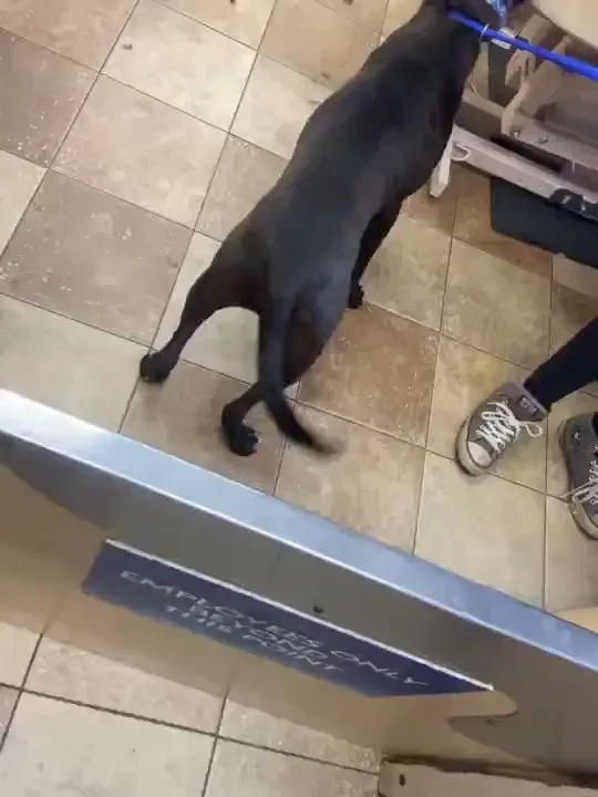 Happy friday i won t be on cb for my lunch break today because i need part 5 