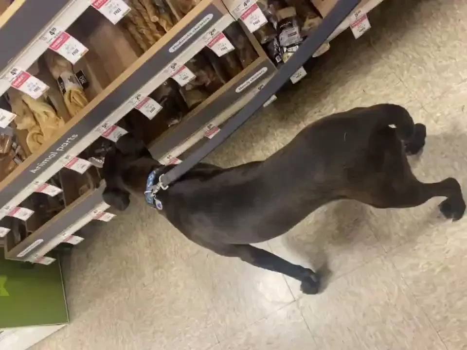 Happy friday i won t be on cb for my lunch break today because i need 