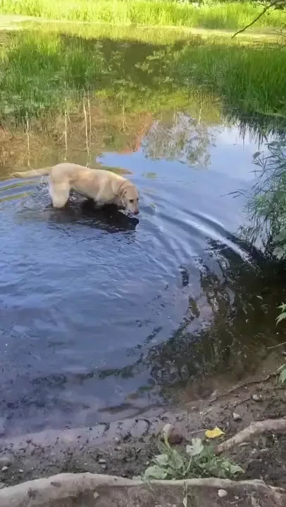 Happy friday i won t be on cb for my lunch break today because i need part 3 