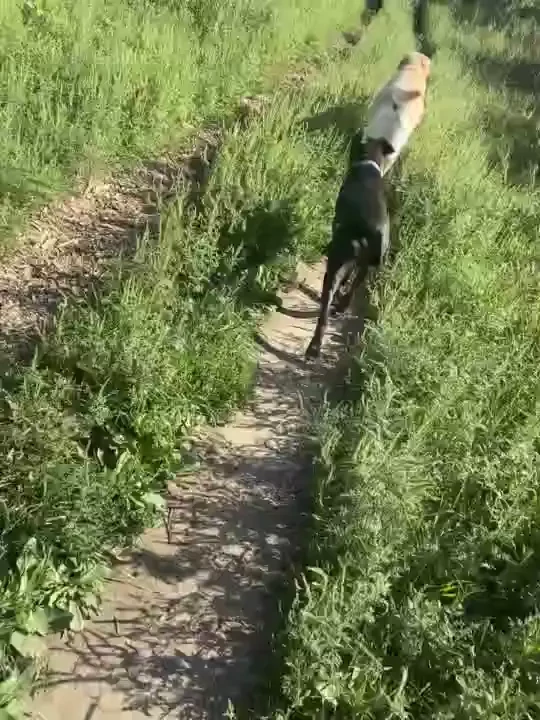 Happy friday i won t be on cb for my lunch break today because i need part 9 