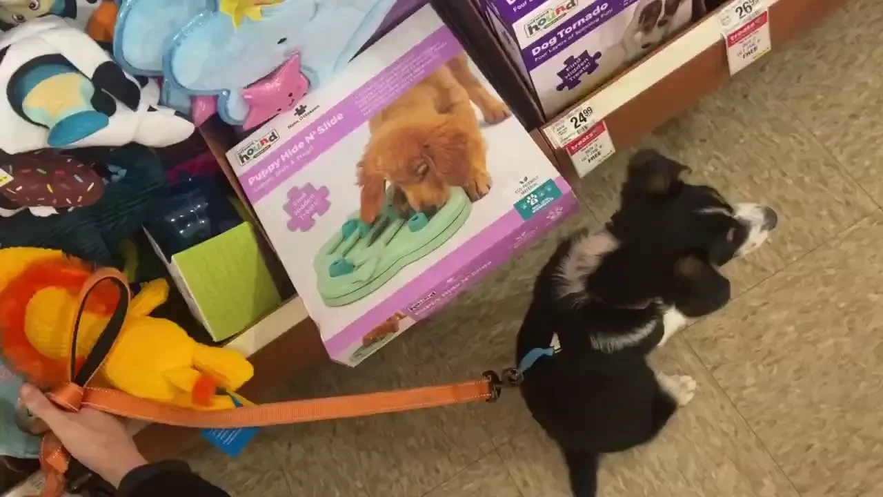 My daughter and i took chainey shopping and to my parent s house to part 1 