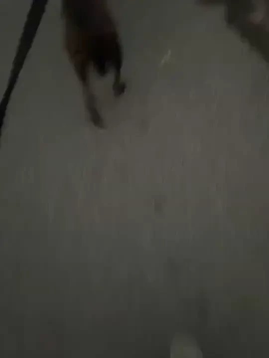 Happy hump day look at the guy in the background at the gym playing part 3 