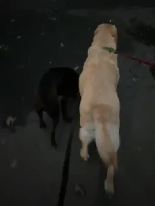 Happy hump day look at the guy in the background at the gym playing part 4 