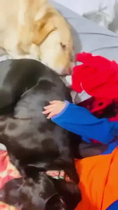 Good morning i have an all day training so i won t be on cb for my part 2 