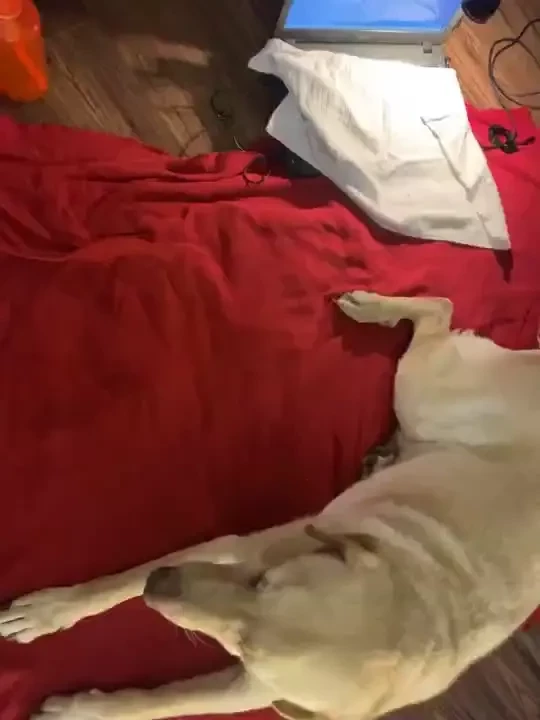 I m going on cb thank you for such a fun time my squirt tasted so 