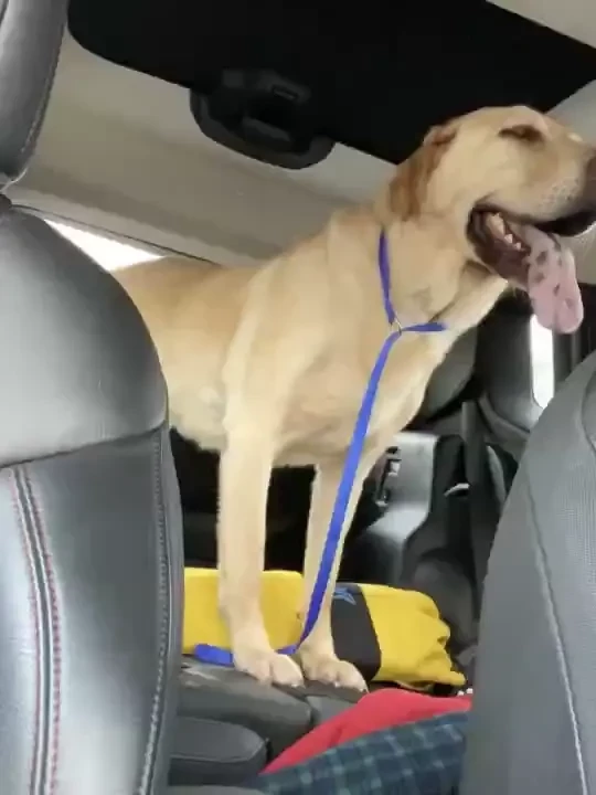 Happy twiddle your nads thursday sorry i am not able to respond to part 4 