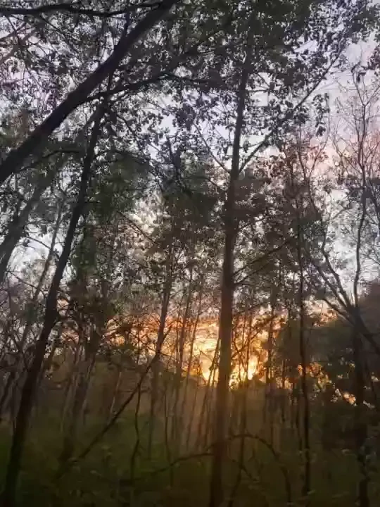 I m going on cb for a quickie nigh nigh hugs thank you 