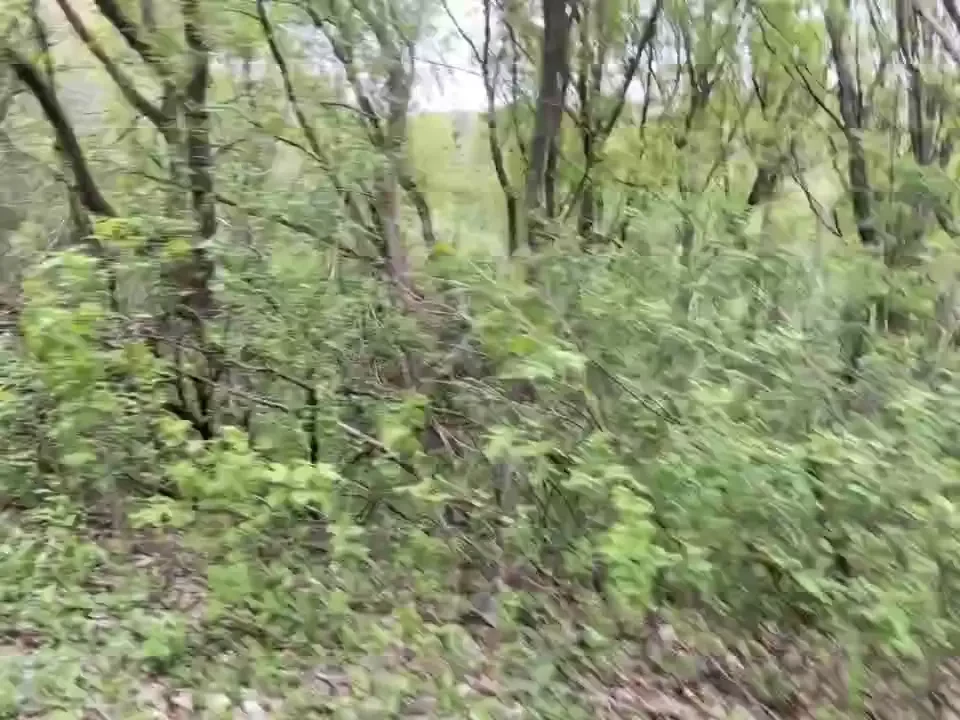I drove to a trail on my way home from my afternoon work meeting and 