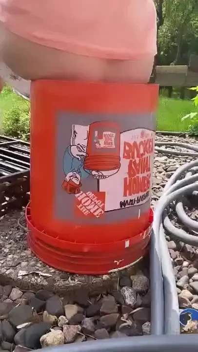 Happy bare little buttski on a home depot bucket sunday 