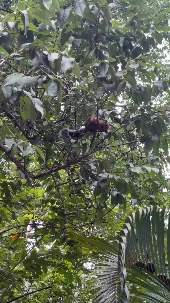 Hi guys the last week has been tough especially for james we took 3 part 2 