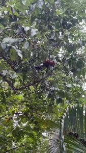 Hi guys the last week has been tough especially for james we took 3 part 2