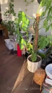 Life update back in portugal hey guys as promised here s a little life part 4