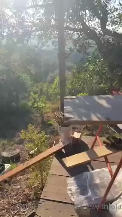 Life update back in portugal hey guys as promised here s a little life part 2 