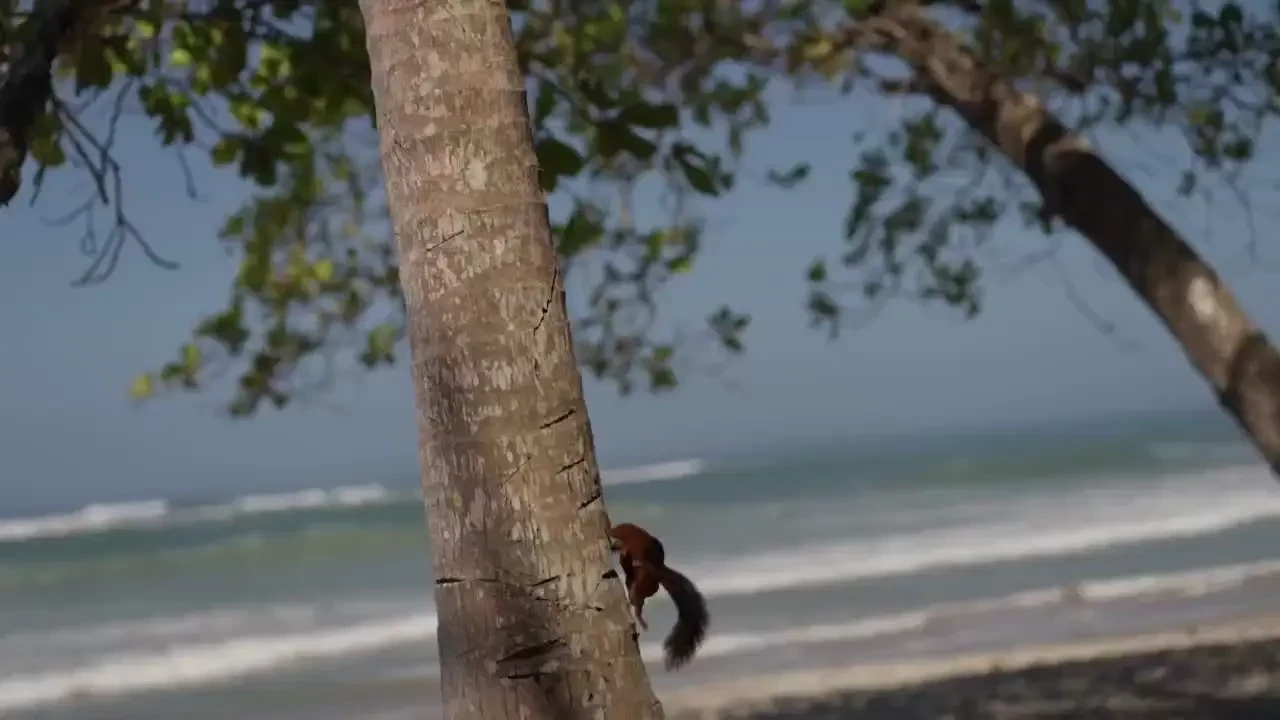 The diary moments how life looks like lately the waves are getting 