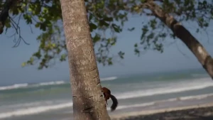 The diary moments how life looks like lately the waves are getting