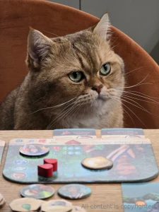 Hey dears my cat and i have just spent a few cosy hours exploring part 1