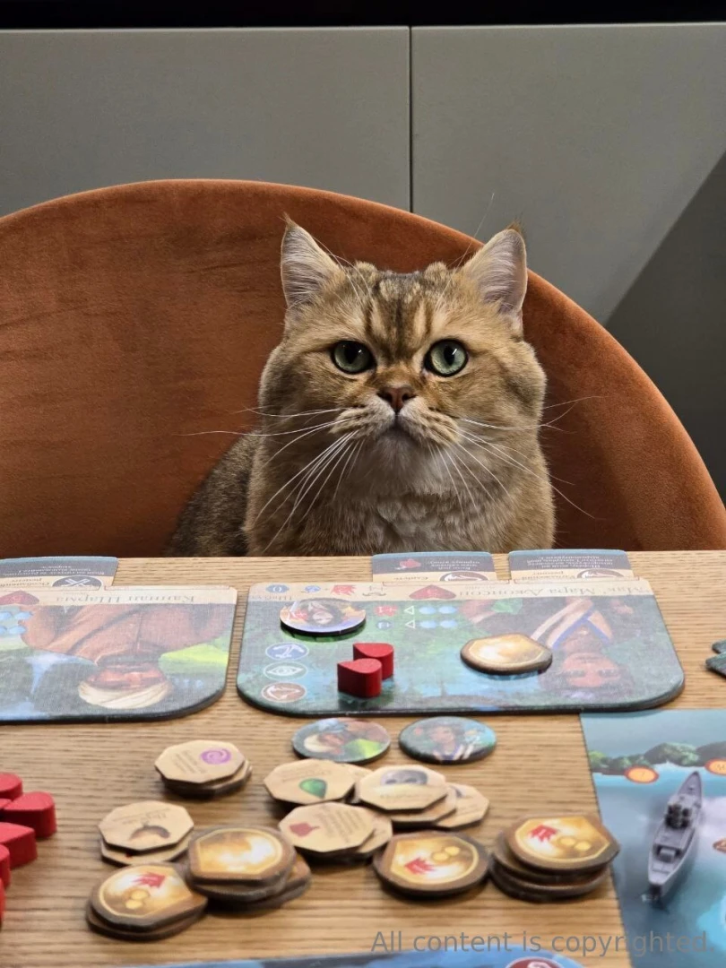 Hey dears my cat and i have just spent a few cosy hours exploring 