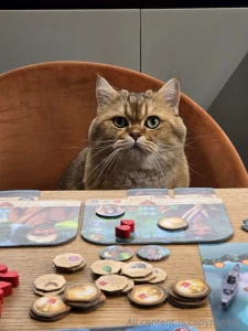 Hey dears my cat and i have just spent a few cosy hours exploring