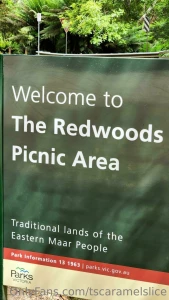 Sorry another sfw one but had a fun day part 10