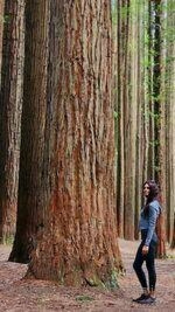 Sorry another sfw one but had a fun day part 5 