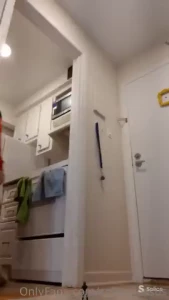 Roommate shrinks - macro pov - 6 mins my roommate was supposed to run