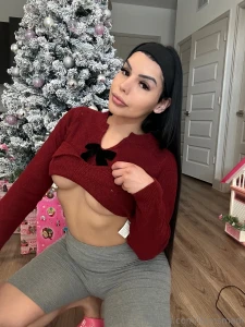 Merry christmas part 3169