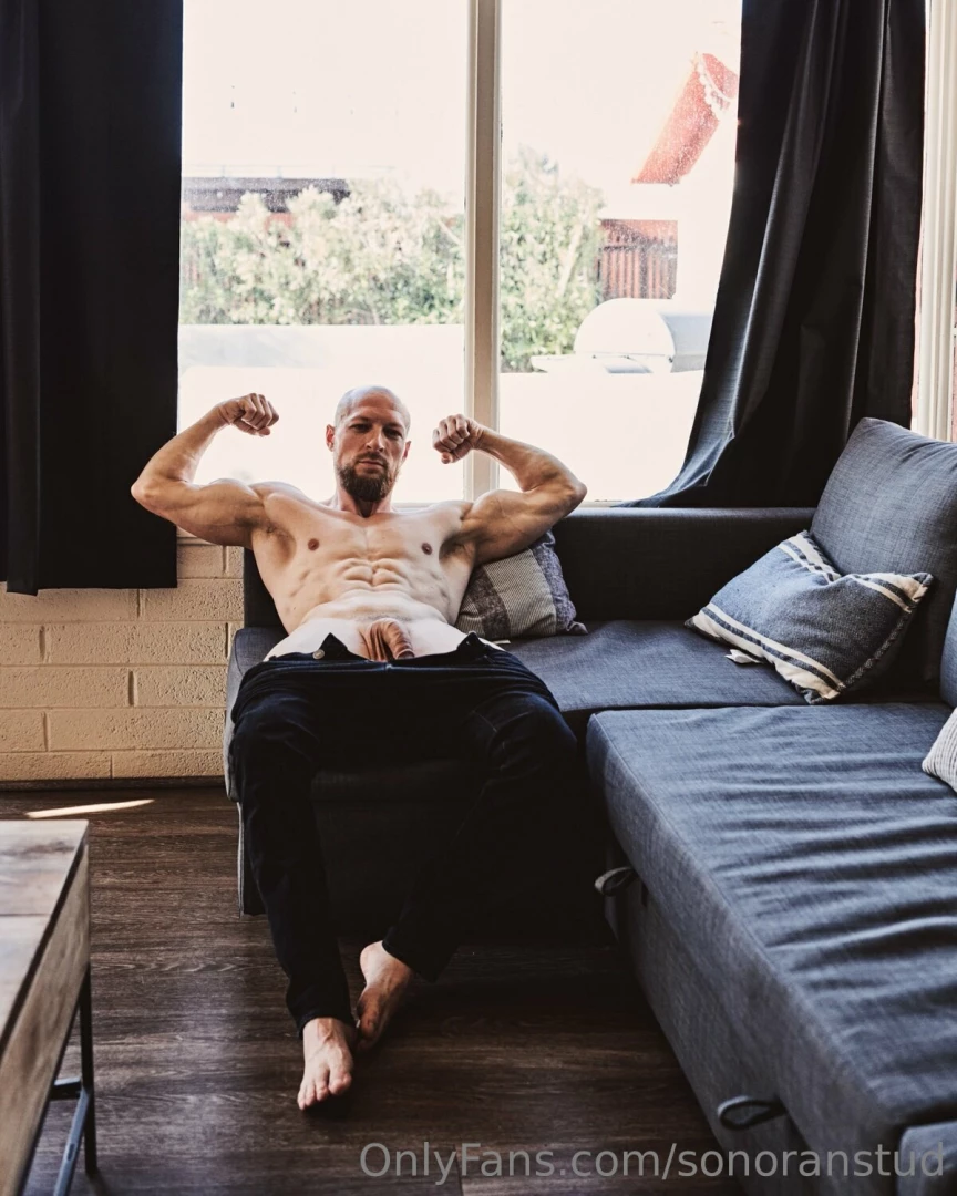 Sonoranstud1 part 19 