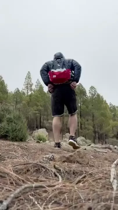 Mountains and forests part 26 