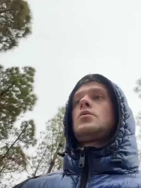 Mountains and forests part 29 