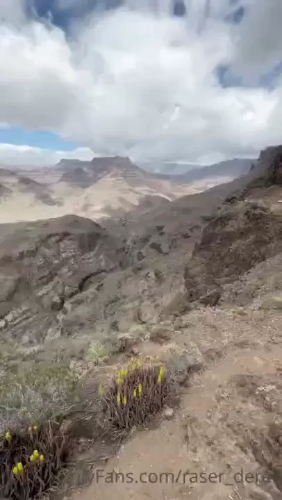 Mountains and forests part 28 