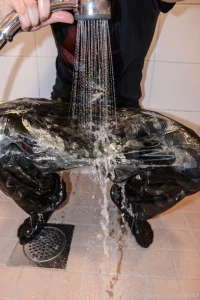 Messy monday are you more into wet or messy stuff part 1