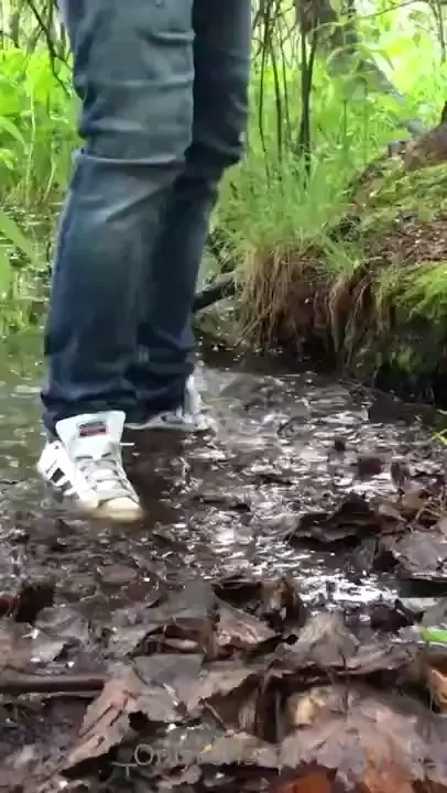 Wet monday i m getting my adidas sneaks wet in a pond and then get 